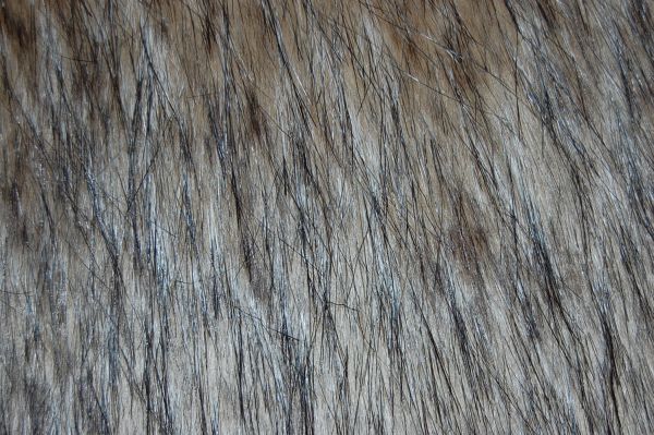 Jack Rabbit Fur